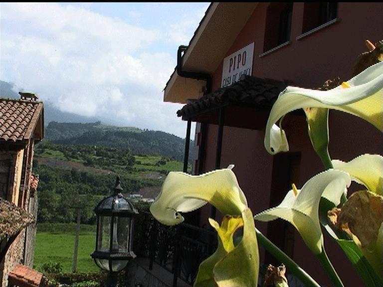 كولونغا Casa Rural Casa Pipo المظهر الخارجي الصورة